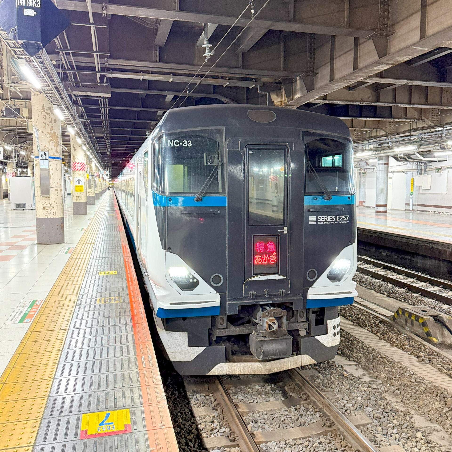 特急あかぎ号上野駅にて