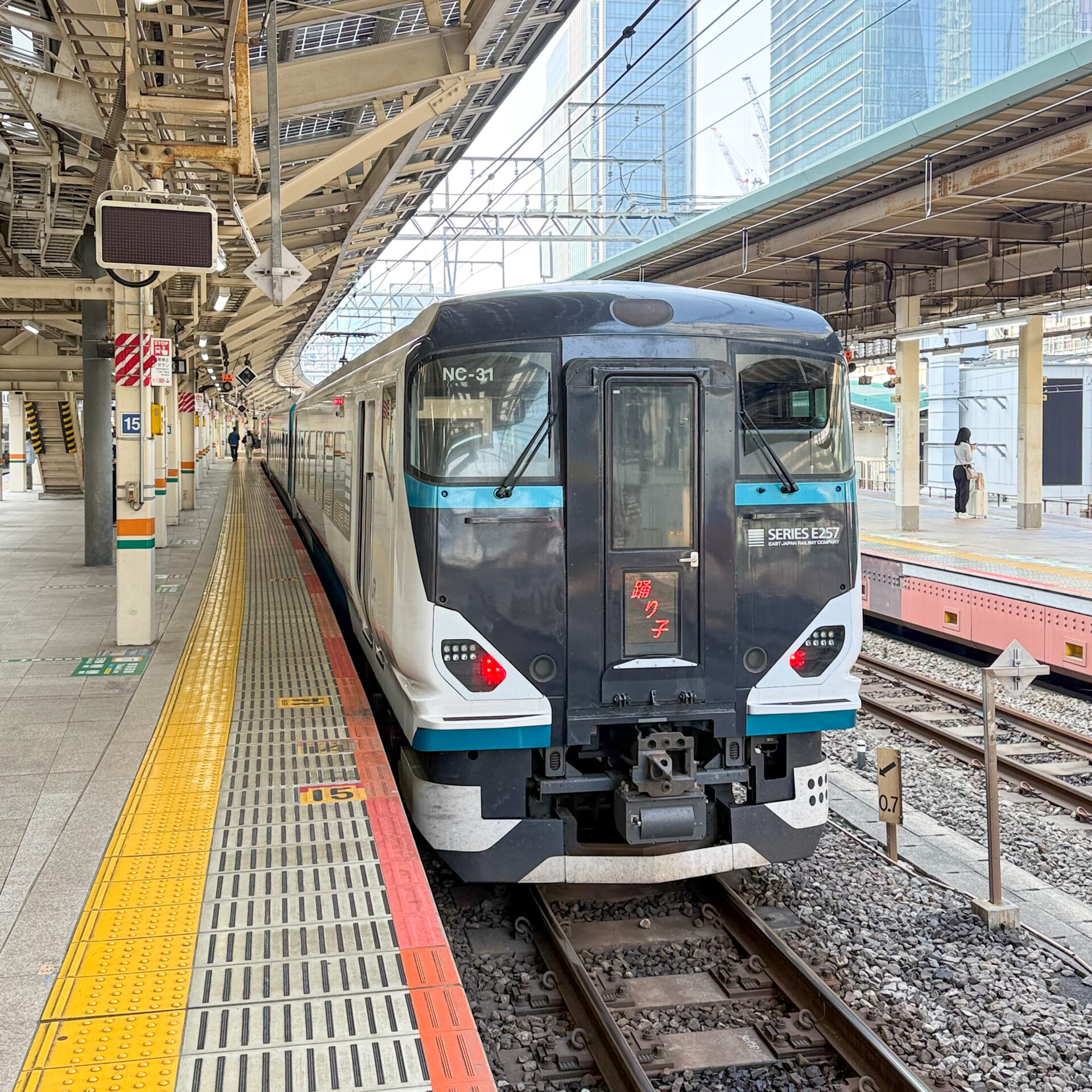 特急踊り子号東京駅にて