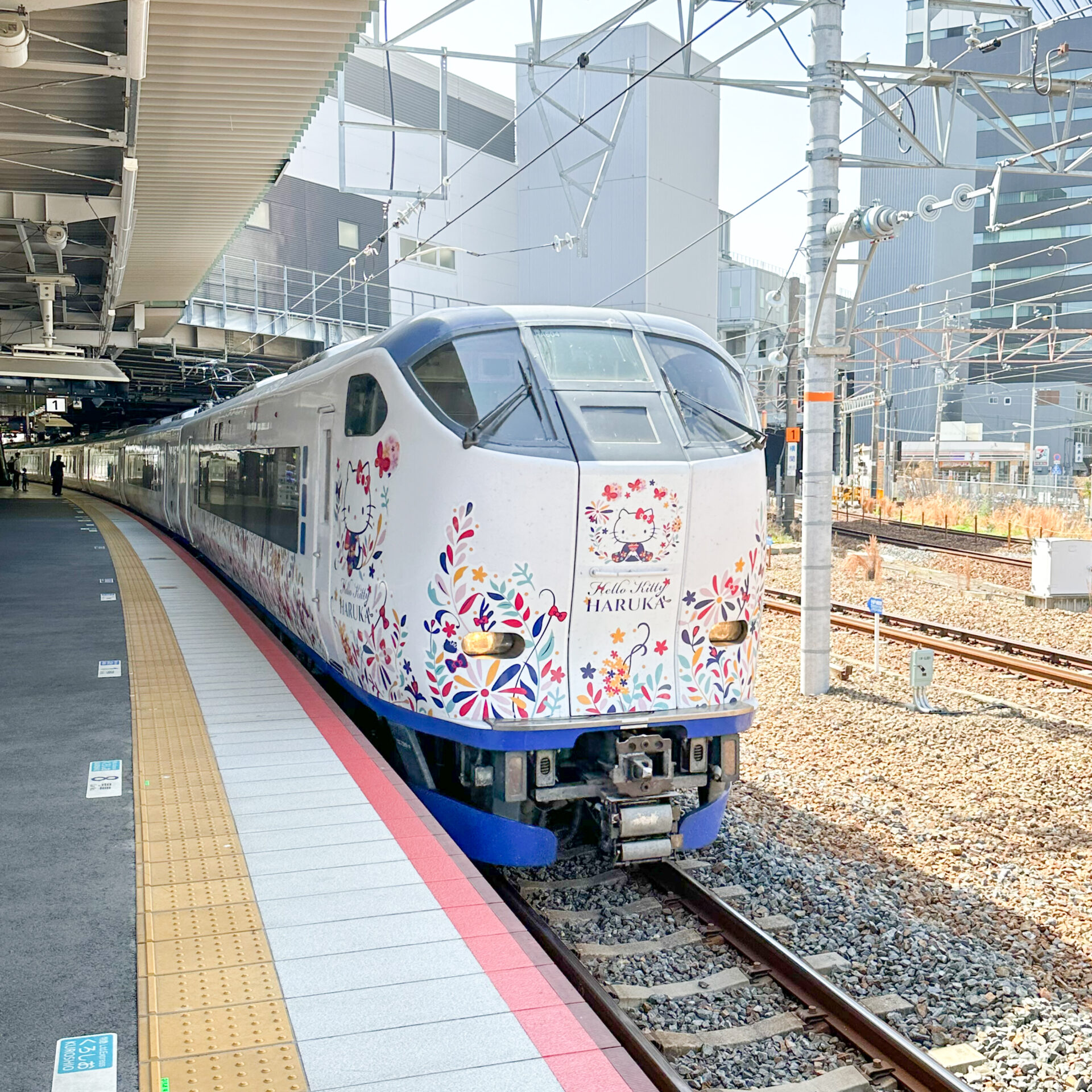 特急はるか号新大阪駅にて