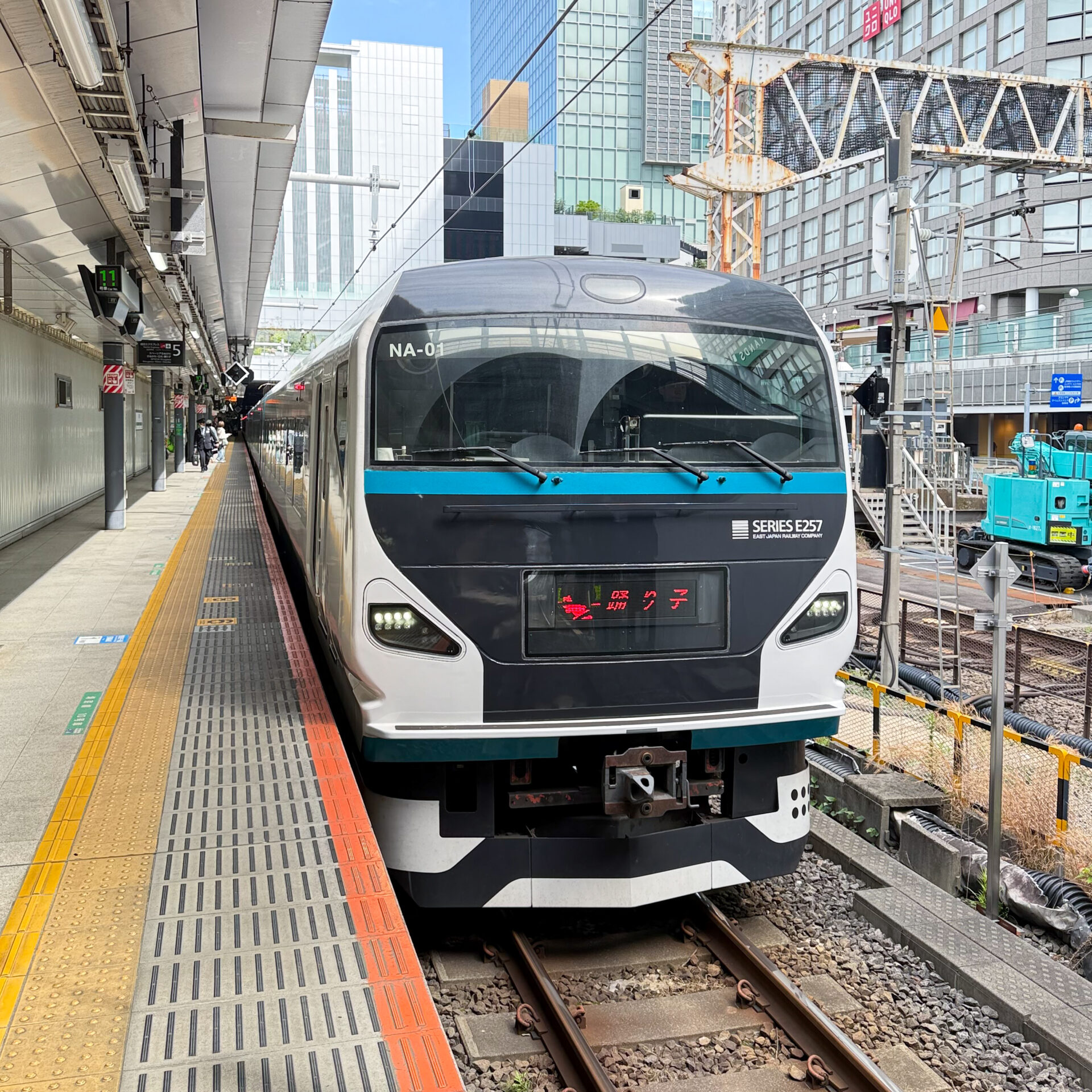 特急踊り子号新宿駅にて