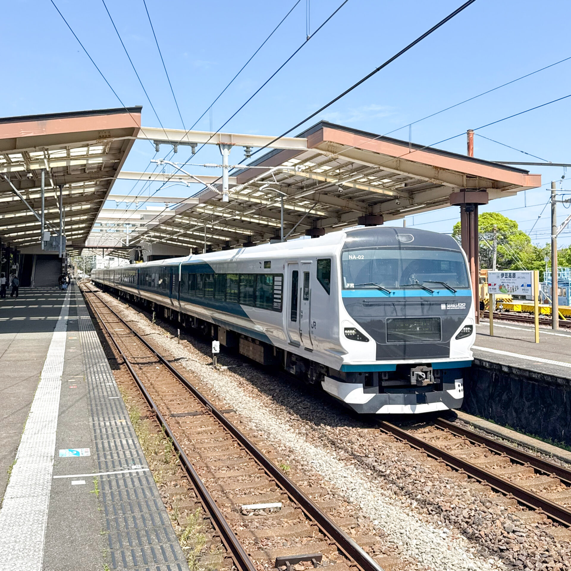 特急踊り子号伊豆高原駅にて
