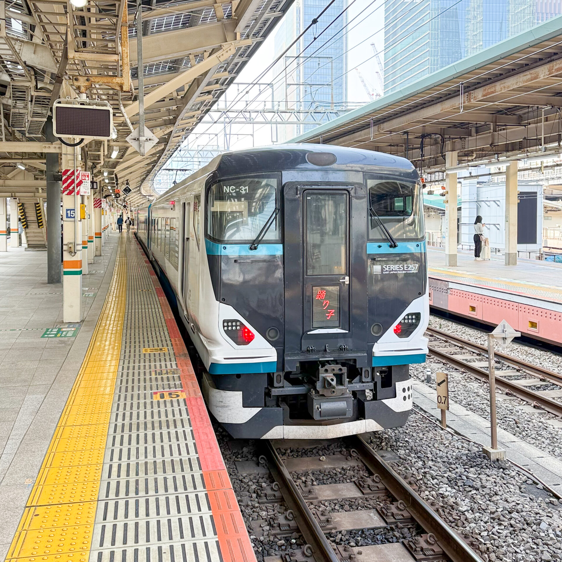 特急踊り子号東京駅にて