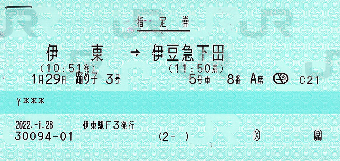 伊東駅から伊豆急下田駅ゆき特急券