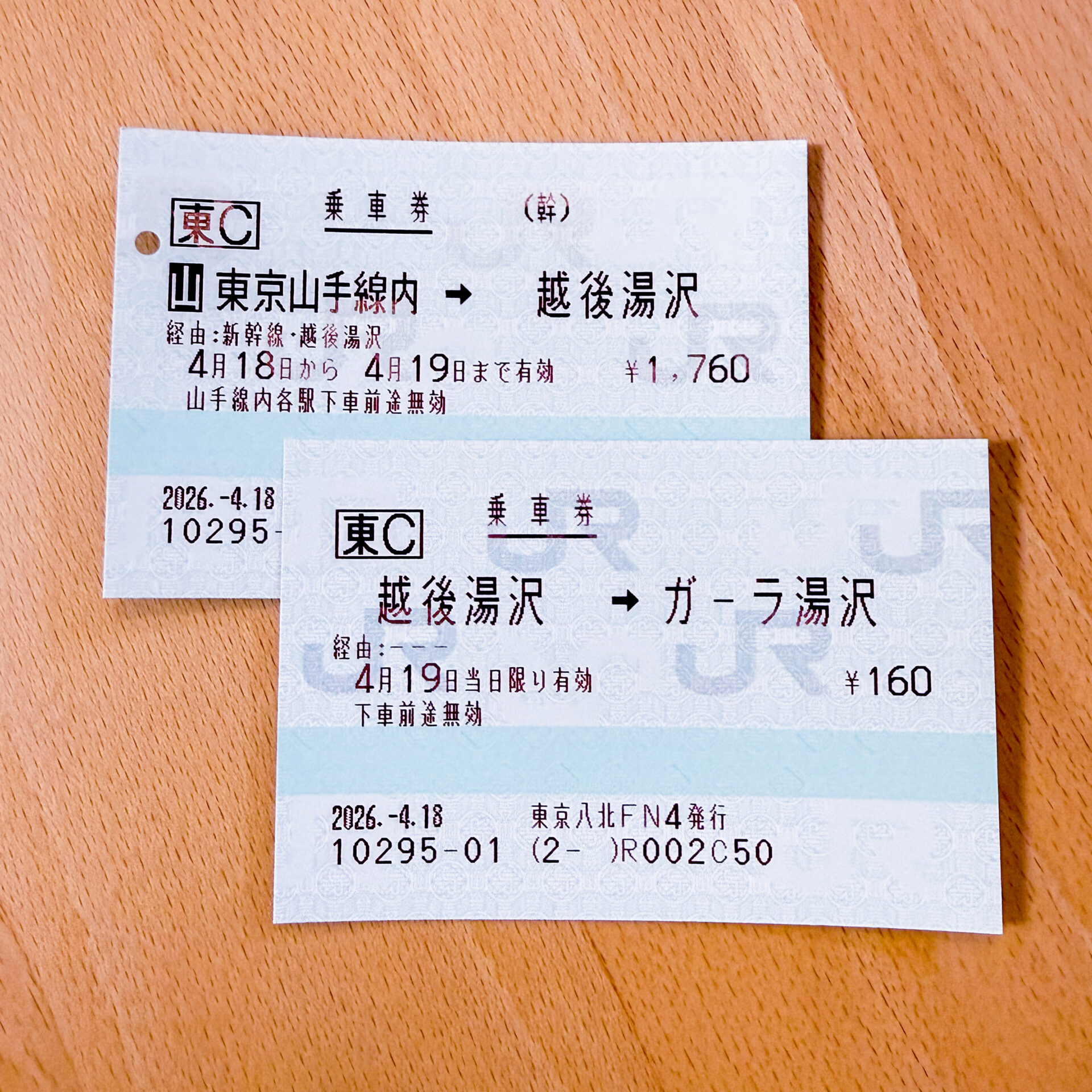 ガーラ湯沢駅への普通乗車券