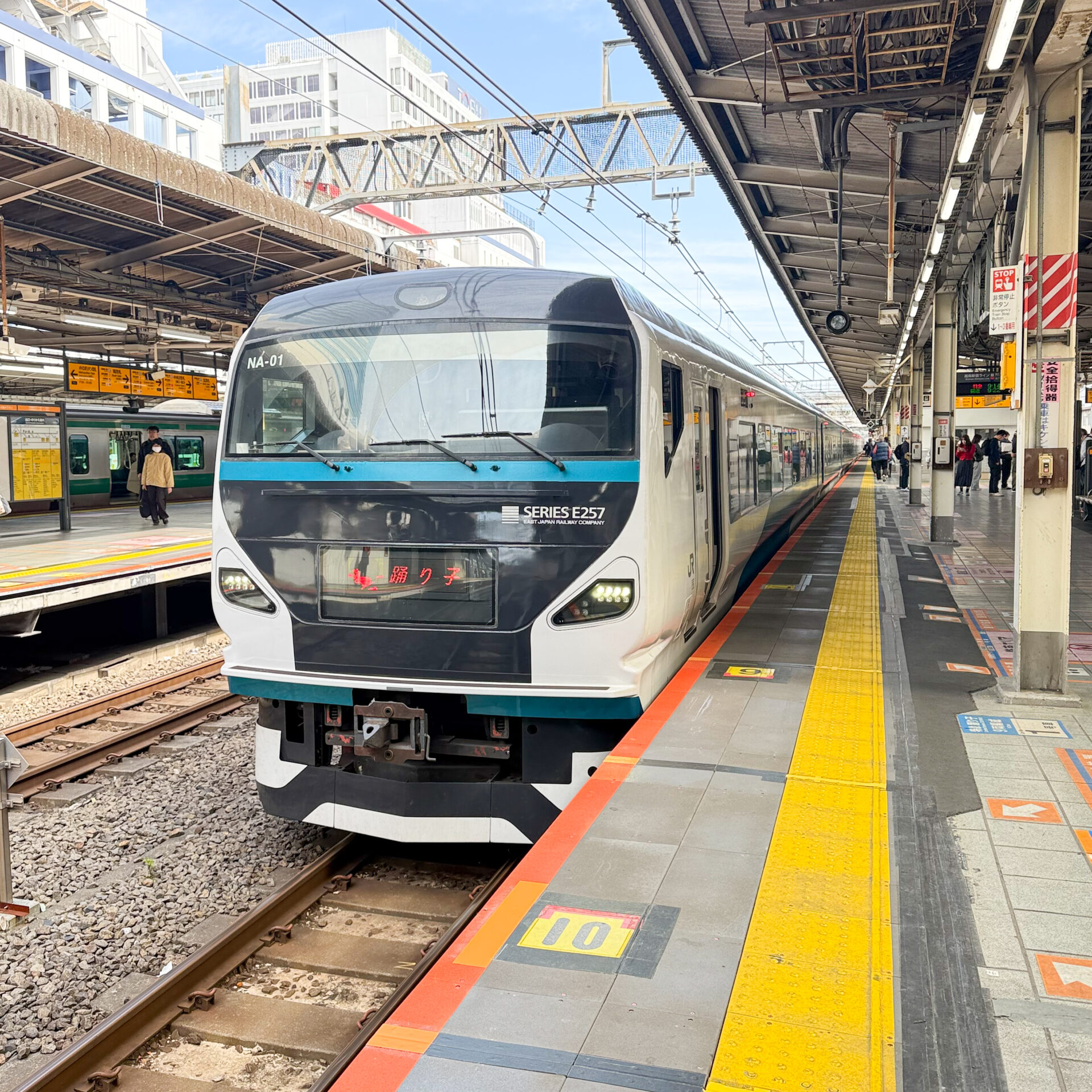 E257系踊り子池袋駅にて