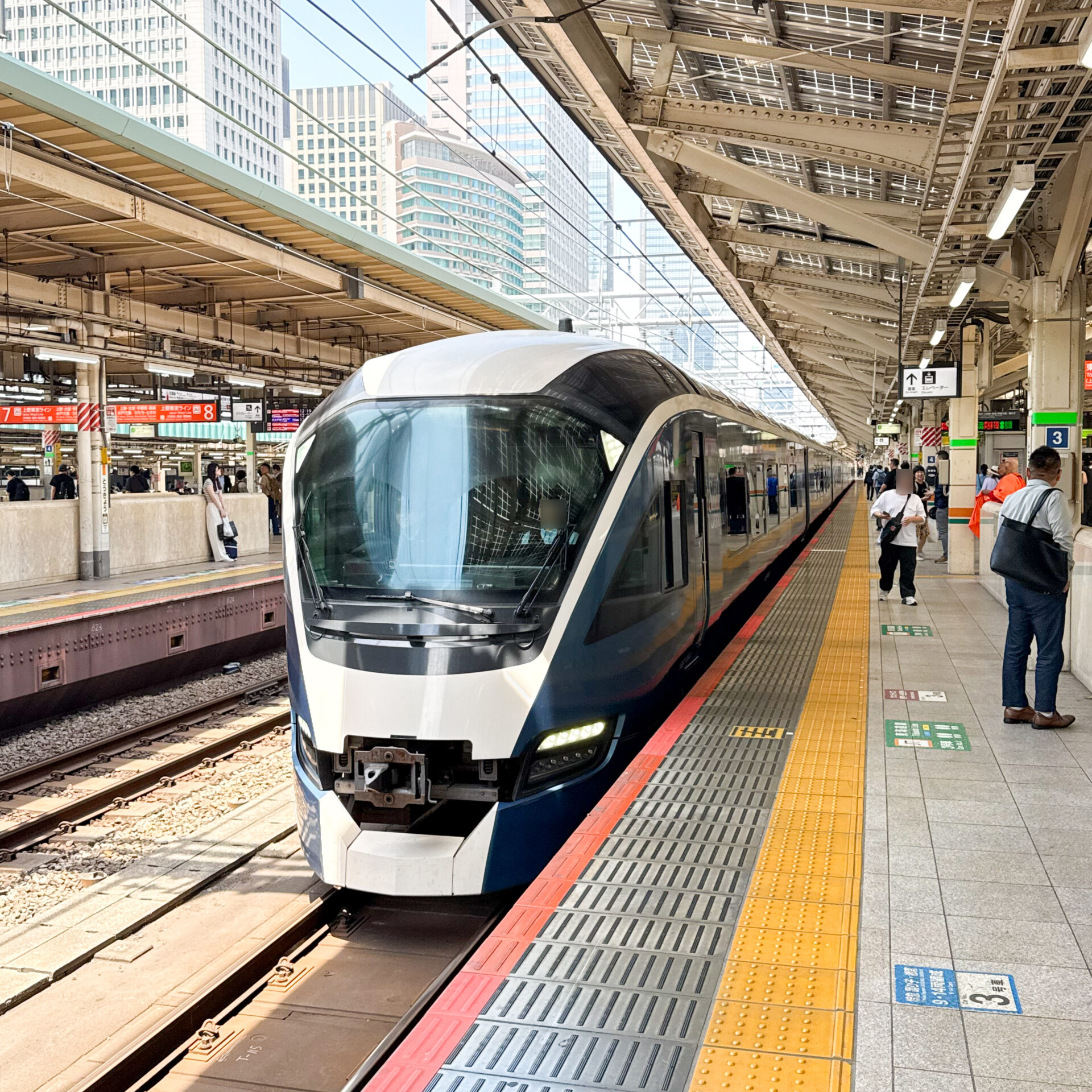サフィール踊り子号入線東京駅にて