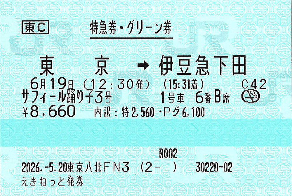 東京駅から伊豆急下田駅ゆき特急グリーン券