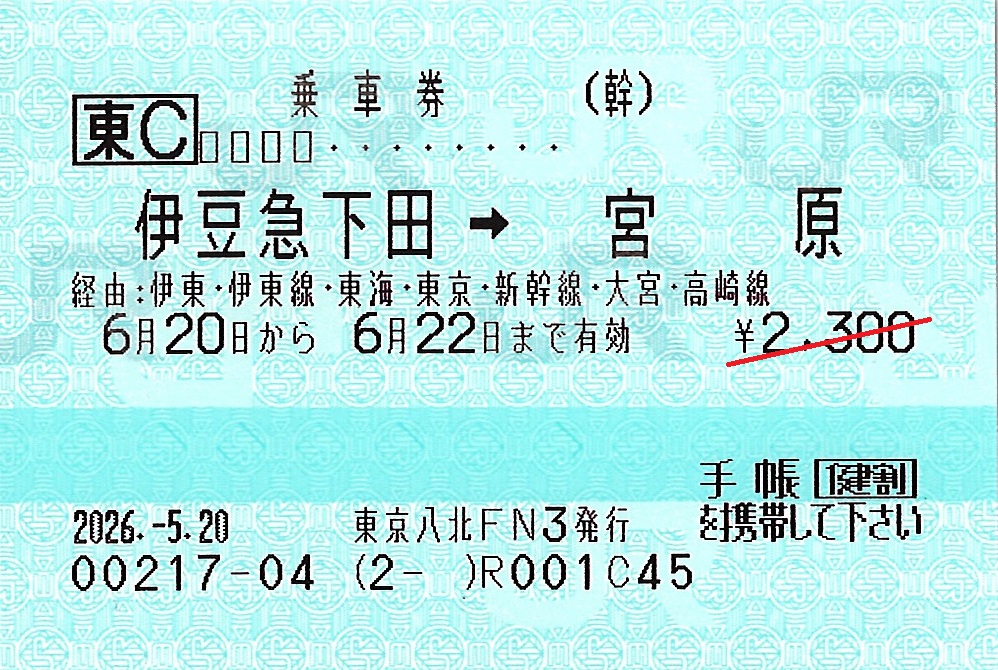 伊豆急下田駅から宮原駅ゆき普通乗車券