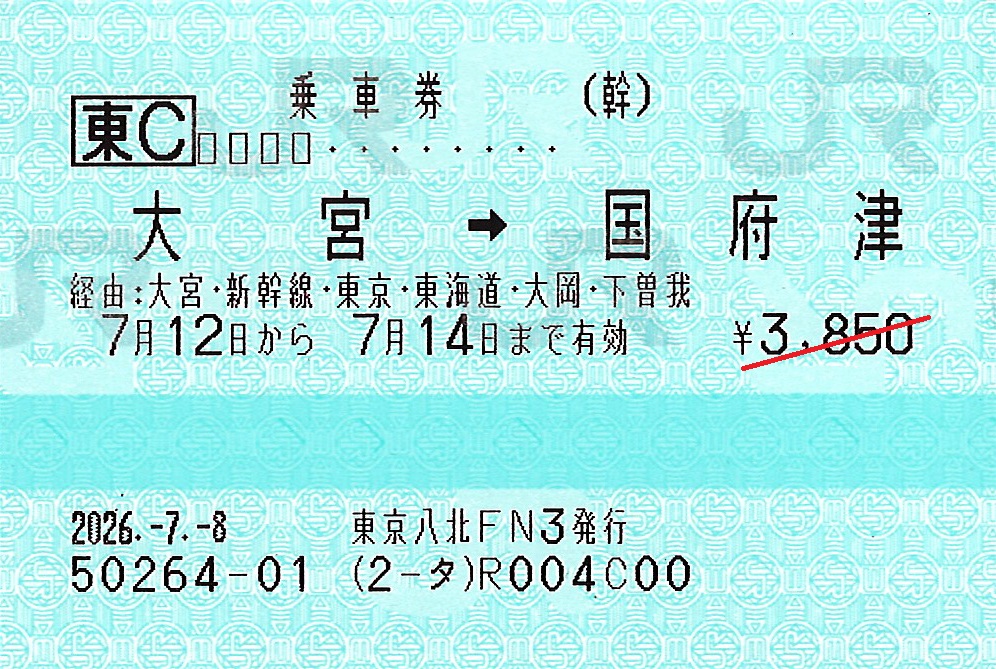 大宮駅から国府津駅ゆき普通乗車券