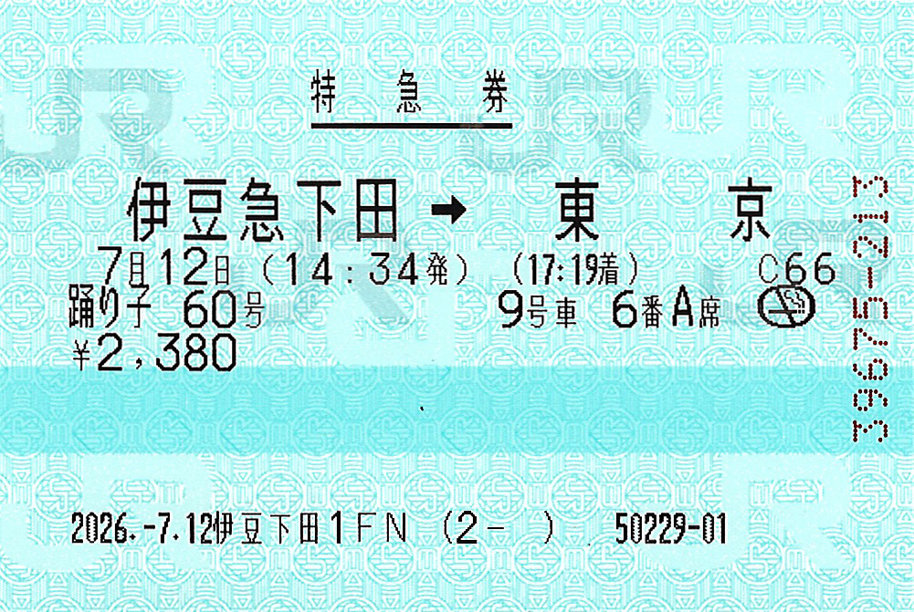 伊豆急下田駅から東京駅ゆき特急券